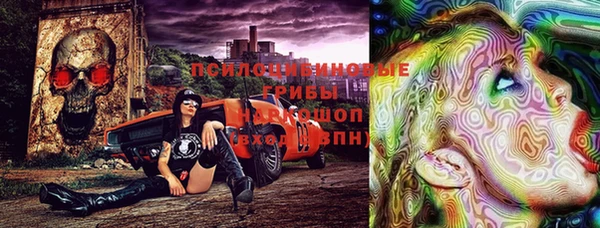 гашик Вязники
