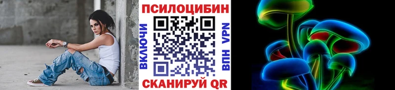 где купить наркоту  Елизаветинская  Псилоцибиновые грибы GOLDEN TEACHER 