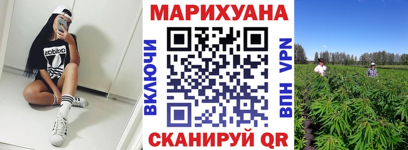 Канабис конопля  Елизаветинская 